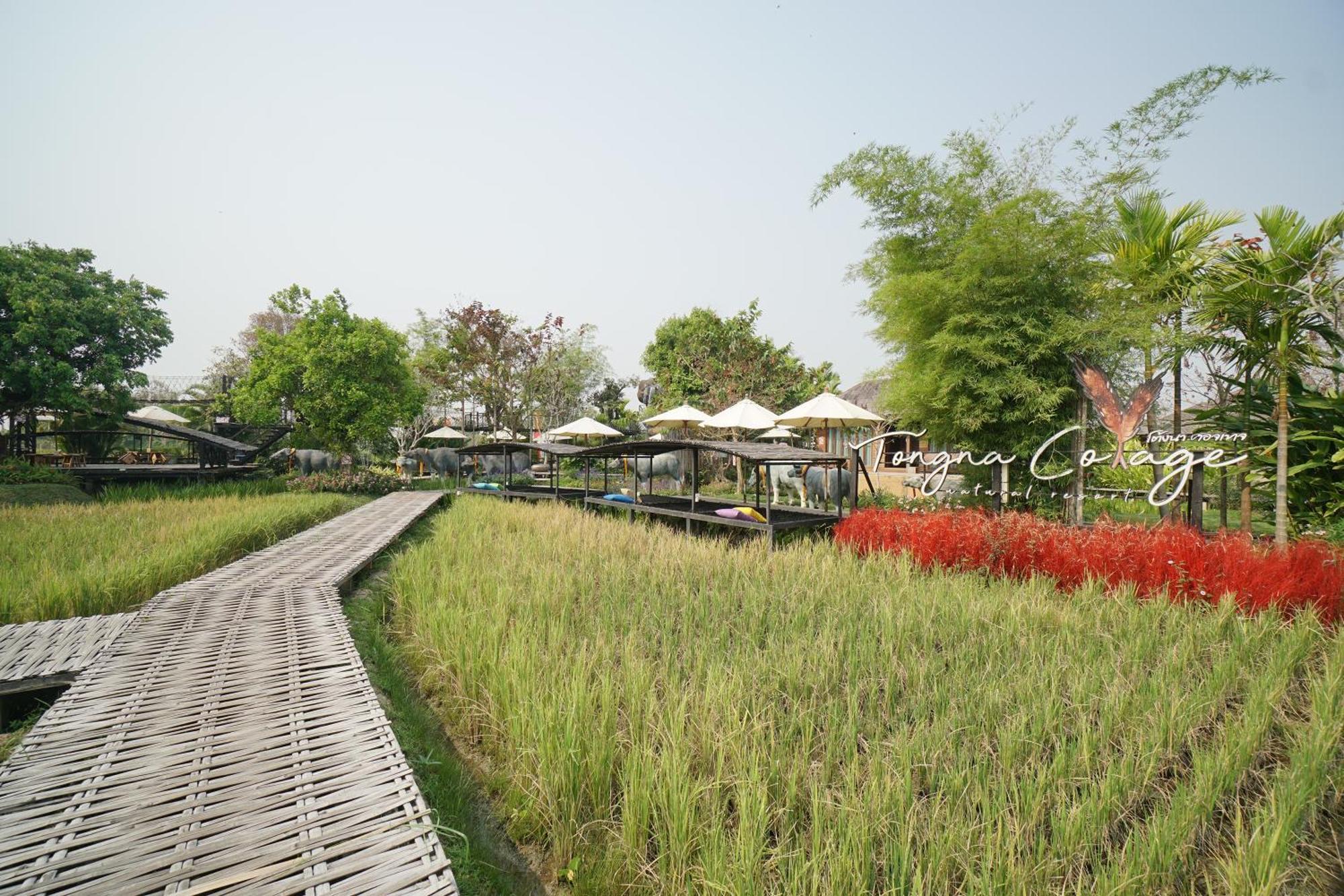 Tongna Cottage Natural Resort Chiang Mai Eksteriør bilde