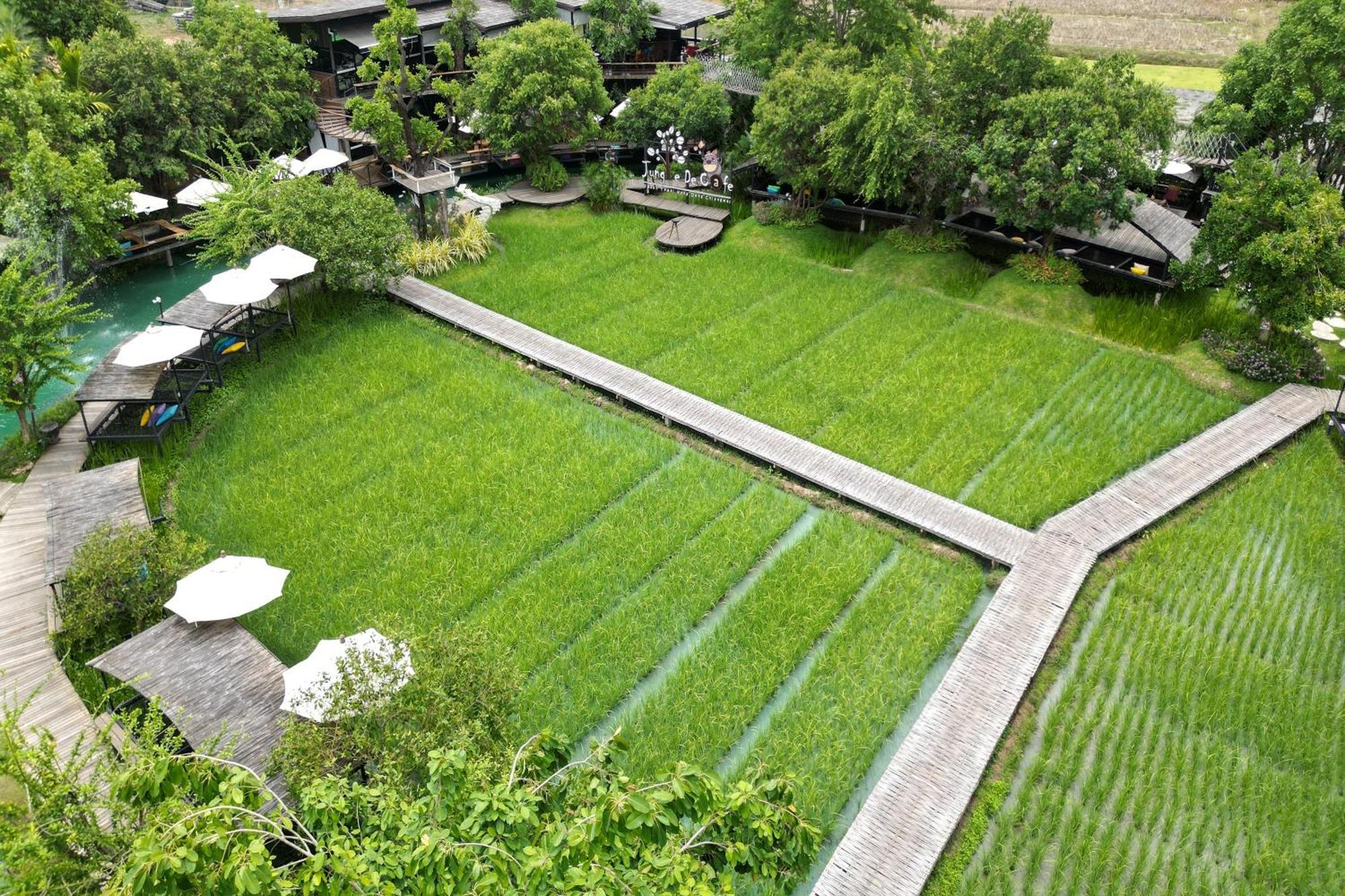 Tongna Cottage Natural Resort Chiang Mai Eksteriør bilde