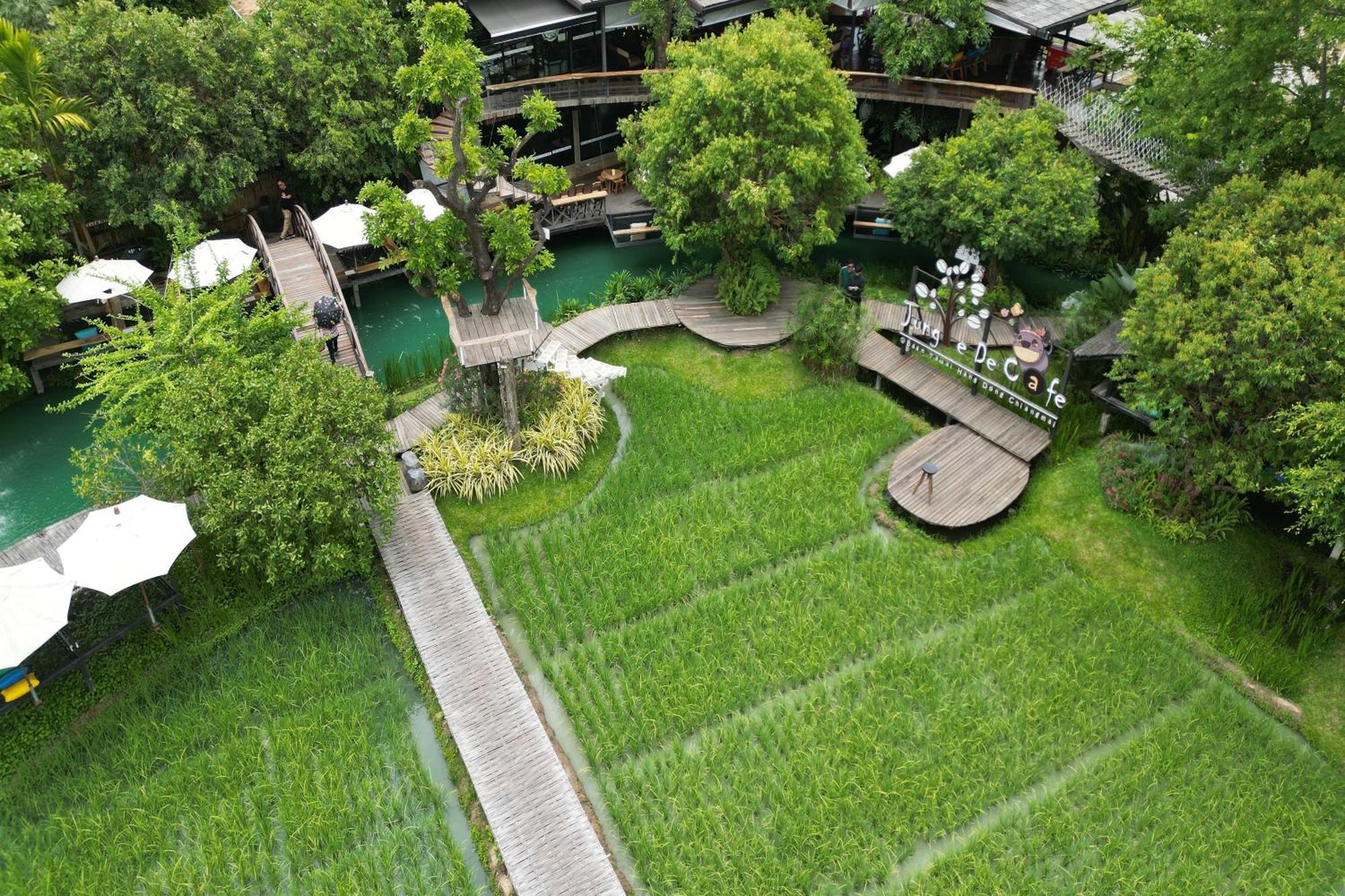Tongna Cottage Natural Resort Chiang Mai Eksteriør bilde